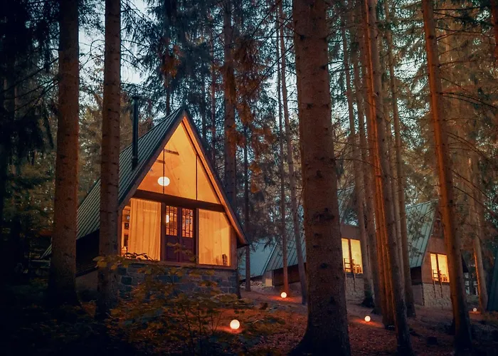 Kouty - Lesní Apartamento